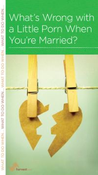 Book Cover for What's Wrong With a Little Porn When You're Married? by R Nicholas Black