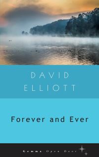 Book Cover for Forever and Ever by David Elliott