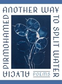 Book Cover for Another Way to Split Water by Alycia Pirmohamed