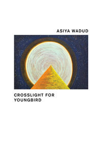 Book Cover for Crosslight for Young Bird by Asiya Wadud