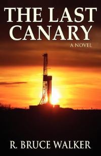 Book Cover for The Last Canary by QuinRose Firm