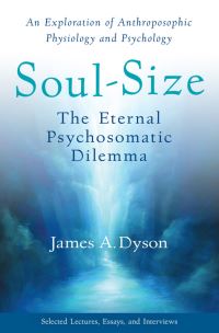 Book Cover for Soul-Size by James Dyson