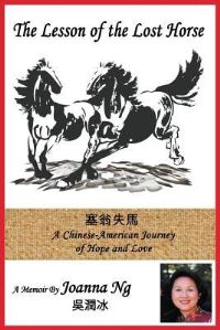 Book Cover for The Lesson of the Lost Horse by Elizabeth Allen