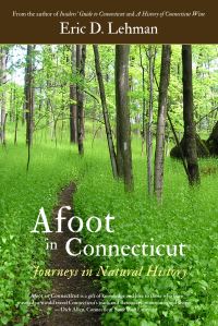 Book Cover for Afoot in Connecticut by Eric D Lehman