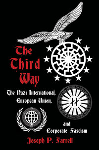 Book Cover for The Third Way by Joseph P Farrell