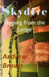 Book Cover for Skydive by Andrew Brown