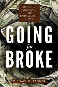 Book Cover for Going for Broke by Michael Tanner