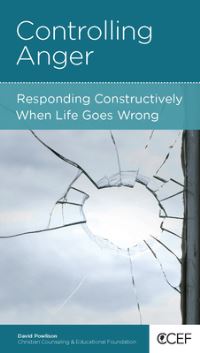 Book Cover for Controlling Anger by David Powlison