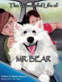 Book Cover for The Wonderful Life of Mr. Bear by Patrice Maguire