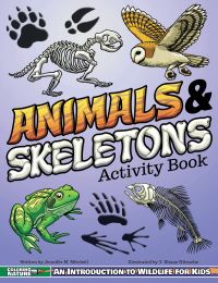 Book Cover for Animals & Skeletons Activity Book by Jennifer M Mitchell