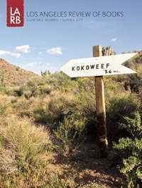 Book Cover for Los Angeles Review of Books Quarterly Journal Summer 2015 by Tom Lutz