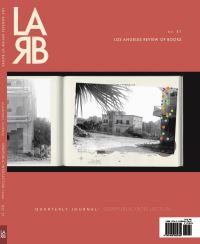 Book Cover for Los Angeles Review of Books Quarterly Journal. No. 31 Semipublic Intellectual Issue by Tom Lutz