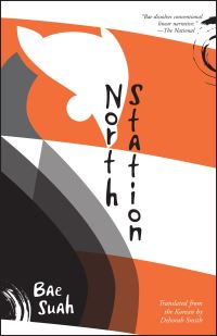 Book Cover for North Station by Sua Pae