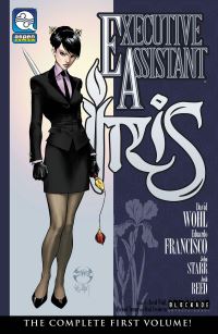 Book Cover for Executive Assistant by David Wohl