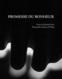 Book Cover for Promesse Du Bonheur by Michael Fried