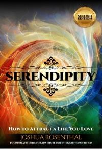 Book Cover for Serendipity by Joshua Rosenthal