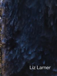 Book Cover for Liz Larner by Jenelle Porter