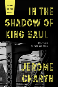 Book Cover for In the Shadow of King Saul by Jerome Charyn