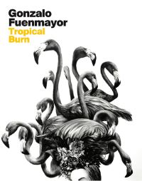 Book Cover for Gonzalo Fuenmayor by Tobias Ostrander