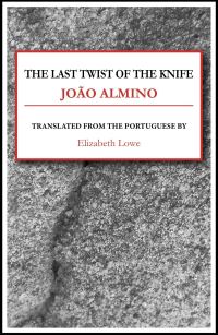 Book Cover for The Last Twist of the Knife by João Almino
