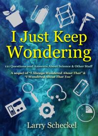 Book Cover for I Just Keep Wondering by Larry Scheckel