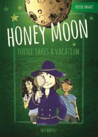 Book Cover for Turtle Takes a Vacation by Mark Andrew Poe