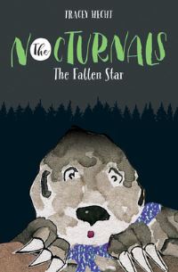 Book Cover for The Fallen Star by Tracey Hecht