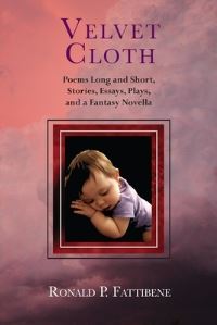 Book Cover for Velvet Cloth by Tracey Hecht, Rumur Dowling
