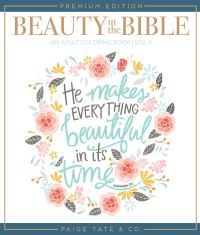 Book Cover for Beauty in the Bible by Paige Tate