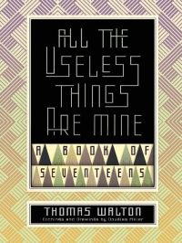 Book Cover for All the Useless Things Are Mine by Thomas Walton