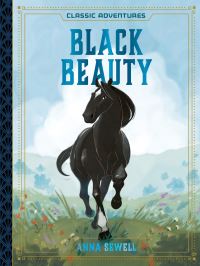 Book Cover for Black Beauty by Caroline Hickey, Anna Sewell