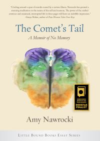 Book Cover for The Comet's Tail by Amy Nawrocki
