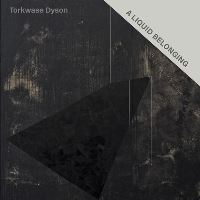Book Cover for Torkwase Dyson by Dionne Brand, LeRonn P Brooks, Saidiya Hartman, Jaleh Mansoor, Mabel Wilson
