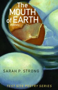 Book Cover for The Mouth of Earth by Sarah Pemberton Strong