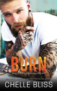 Book Cover for Burn by Chelle Bliss