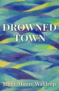 Book Cover for Drowned Town by Jayne Moore Waldrop