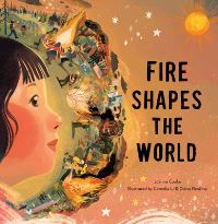 Book Cover for Fire Shapes the World by Joanna Cooke