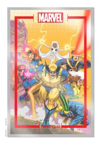 Book Cover for The Marvel Portfolio of David Nakayama by David Nakayama