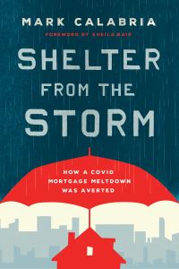 Book Cover for Shelter from the Storm by Mark Calabria