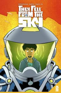 Book Cover for They Fell from the Sky by Liezl Buenaventura
