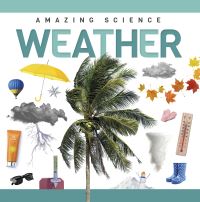 Book Cover for Weather. Hardcover by Rebecca PhillipsBartlett