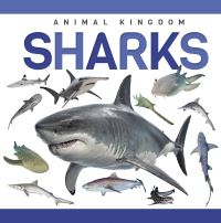 Book Cover for Sharks. Hardcover by Alex Hall