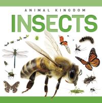 Book Cover for Insects. Paperback by Rebecca PhillipsBartlett