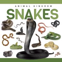 Book Cover for Snakes. Paperback by Rebecca PhillipsBartlett