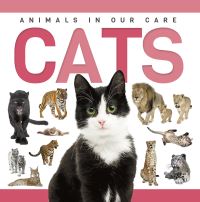 Book Cover for Cats. Paperback by Rebecca PhillipsBartlett