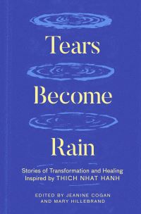 Book Cover for Tears Become Rain by Jeanine  C Cogan, Mary Hillebrand