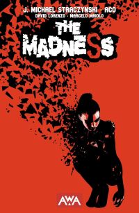 Book Cover for The Madness by J Michael Straczynski