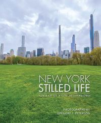 Book Cover for New York Stilled Life by Gregory J Peterson, Barry Bergdoll