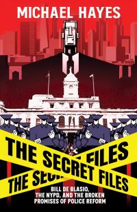 Book Cover for The Secret Files by Micheal Hayes