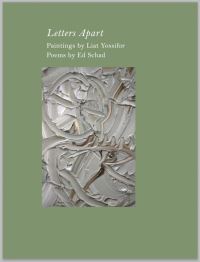 Book Cover for Ed Schad & Liat Yossifor by Ed Schad